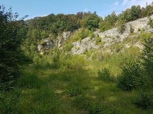 Naturschutzgebiet Delligser Steinbruch Naturschutzgebiet Delligser Steinbruch © Gemeinde Delligsen