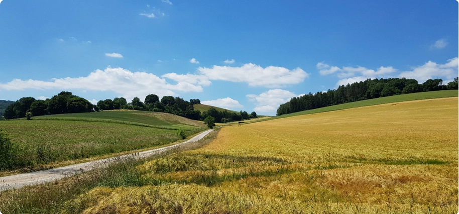 Panorama Hilsmulde&nbsp;&copy;&nbsp;Gemeinde Delligsen